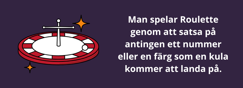 Hur man spelar Roulette